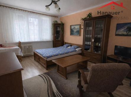 Pronájem bytu, 2+1, 51,3 m²