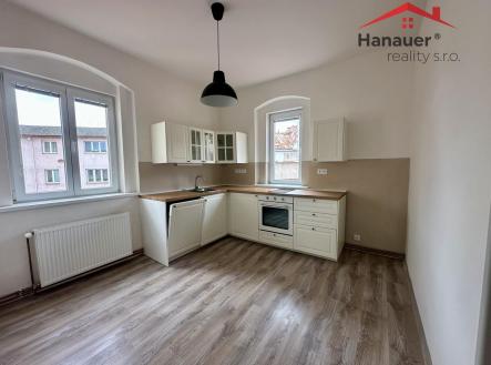 Pronájem bytu, 1+1, 47 m²