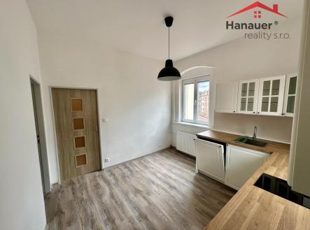 Pronájem bytu, 1+1, 47 m²