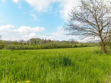 Prodej pozemku pro bydlení, 729 m²