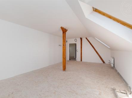 Prodej domu/vily, 300 m²