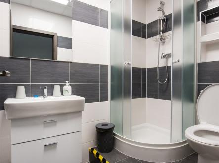 Prodej domu/vily, 312 m²