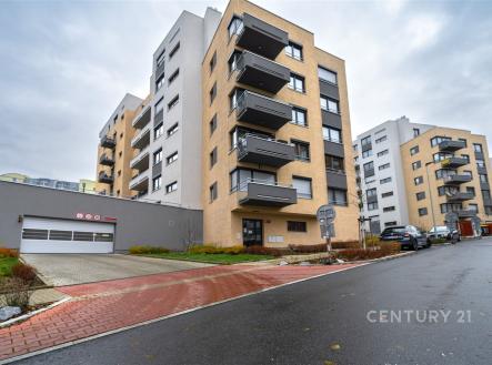 Pronájem bytu, 1+kk, 34 m²