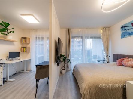 Pronájem bytu, 1+kk, 34 m²