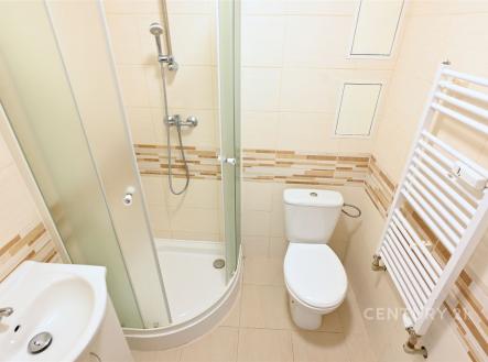 Pronájem bytu, 1+1, 29 m²