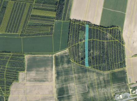 Prodej pozemku, les, 4 433 m²