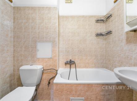 Pronájem bytu, 1+1, 29 m²