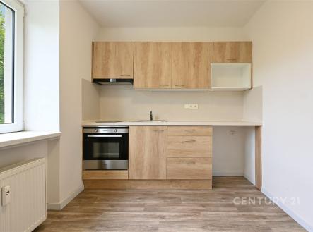 Pronájem bytu, 1+1, 29 m²