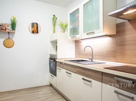 Prodej bytu, 2+kk, 61 m²