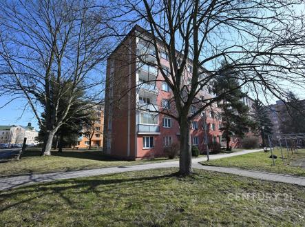 Pronájem bytu, 3+1, 65 m²