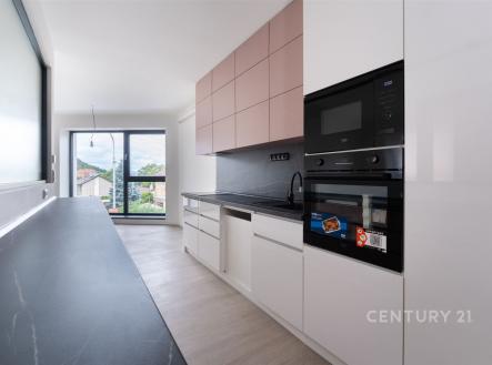 Pronájem bytu, 4+kk, 159 m²