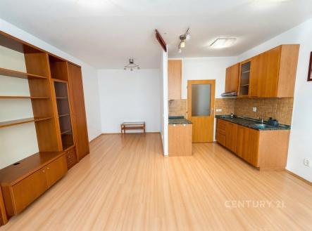 Pronájem bytu, garsoniéra, 29 m²