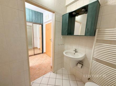 Pronájem bytu, garsoniéra, 29 m²