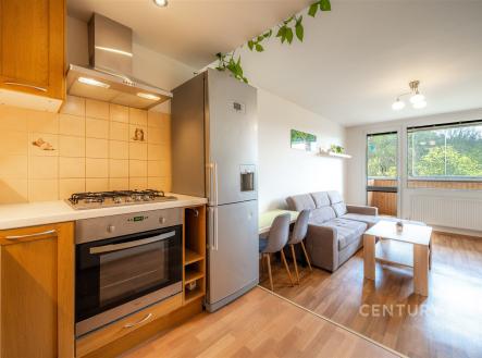 Prodej bytu, 2+kk, 41 m²