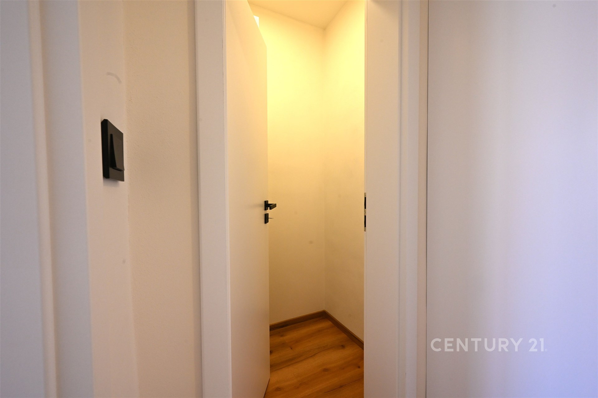 Útulná chodba s dřevěnou podlahou a moderními bílými dveřmi, vynikající prosvětlením a čistým designem.