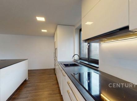 Prodej domu/vily, 319 m²
