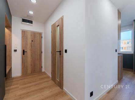 Vstupní hala s parketovou podlahou, moderní dřevěné dveře a vestavěné skříně, světlý interiér s minimalistickým designem.