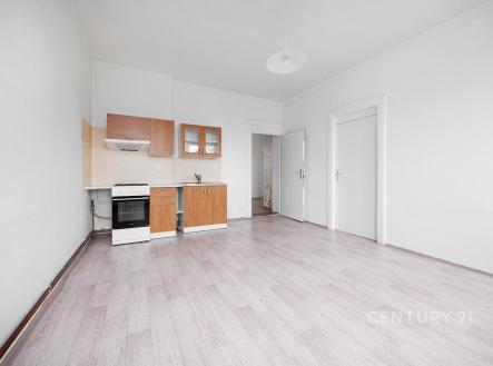 Prodej bytu, 1+1, 60 m²