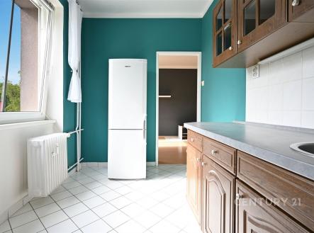 Pronájem bytu, 2+1, 52 m²