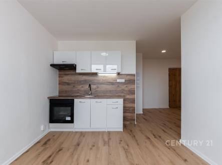 Prodej bytu, 2+kk, 33 m²