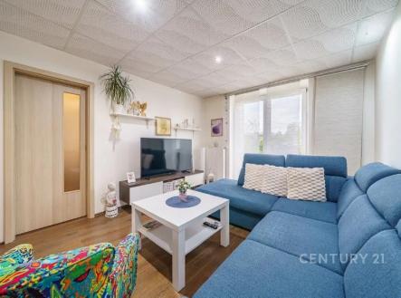 Pronájem bytu, 2+1, 53 m²