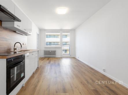 Pronájem bytu, 2+1, 35 m²