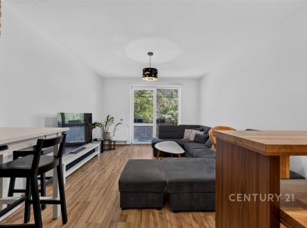 Pronájem bytu, 3+kk, 80 m²