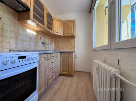 Pronájem bytu, 1+1, 27 m²