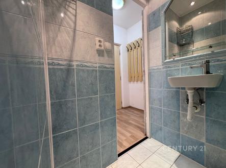 Pronájem bytu, 1+1, 27 m²
