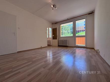 Pronájem bytu, 1+1, 27 m²