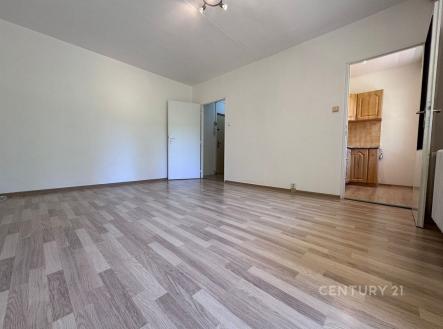 Pronájem bytu, 1+1, 27 m²