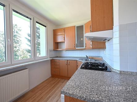 Pronájem bytu, 3+1, 76 m²