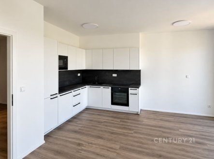 Pronájem bytu, 2+kk, 57 m²