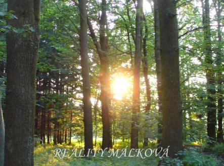 Prodej pozemku, les, 19 200 m²