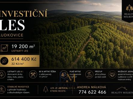 Prodej pozemku, les, 19 200 m²