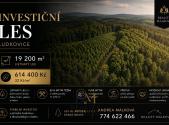 Prodej pozemku, les, 19 200 m²