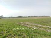 Prodej pozemku pro bydlení, 8 375 m²