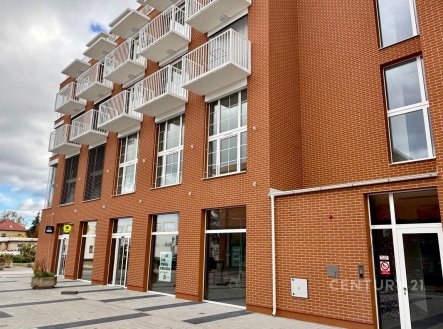 Pronájem bytu, 1+kk, 27 m²