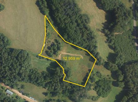 Prodej pozemku, trvalý travní porost, 12 959 m²