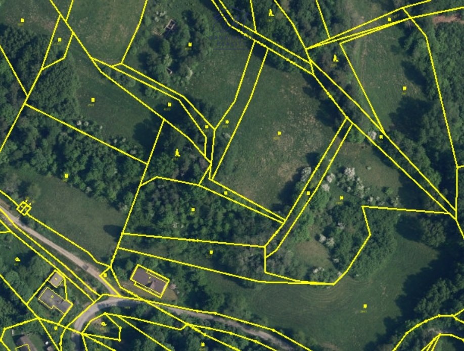 Prodej louky 12 959 m², Všelibice - Březová