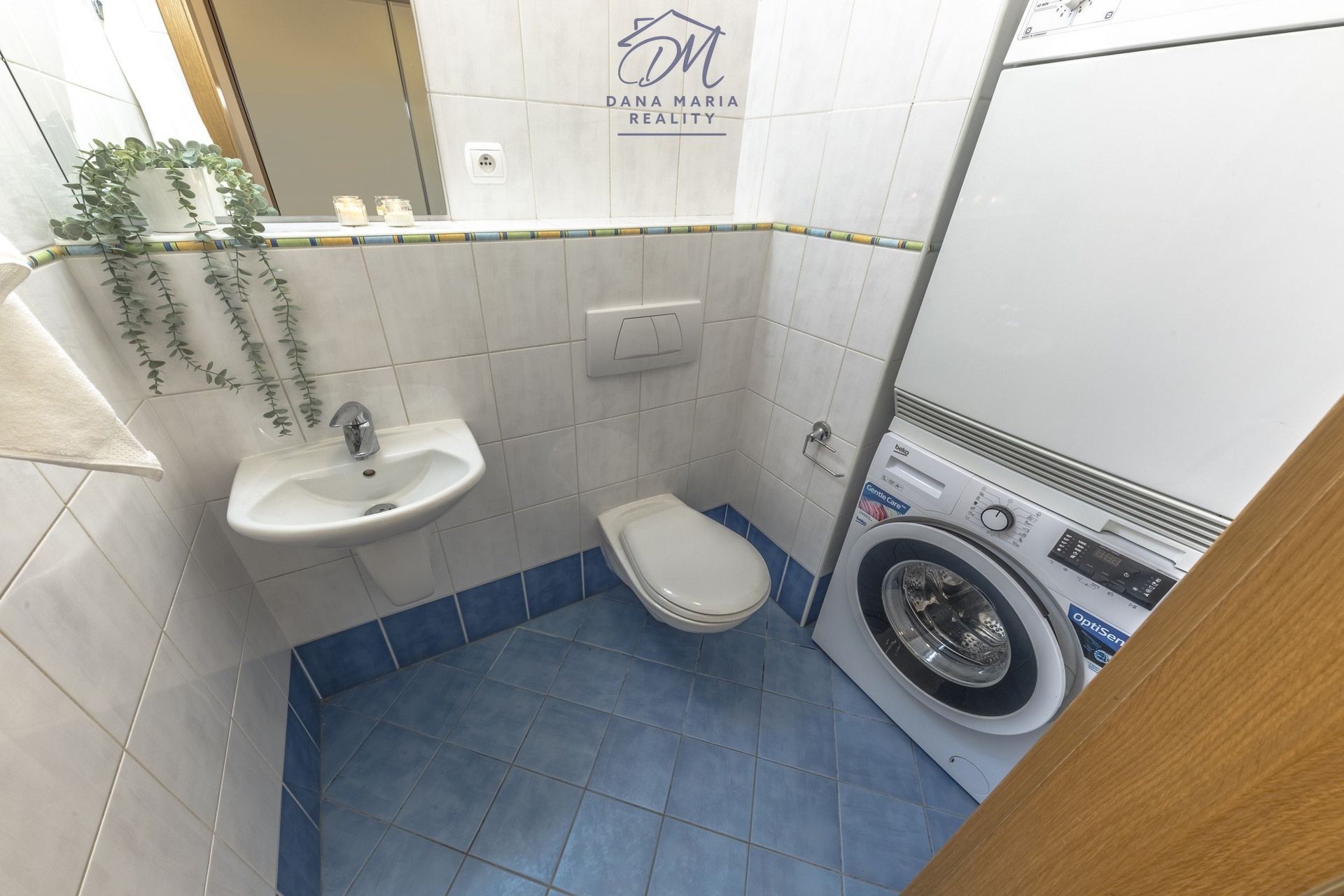 Fotku se nepodařilo načíst.