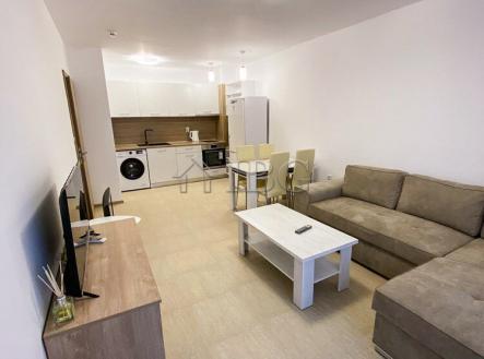 Prodej bytu, garsoniéra, 51 m²