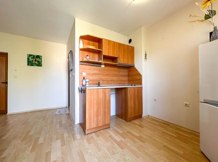 Prodej bytu, garsoniéra, 51 m²