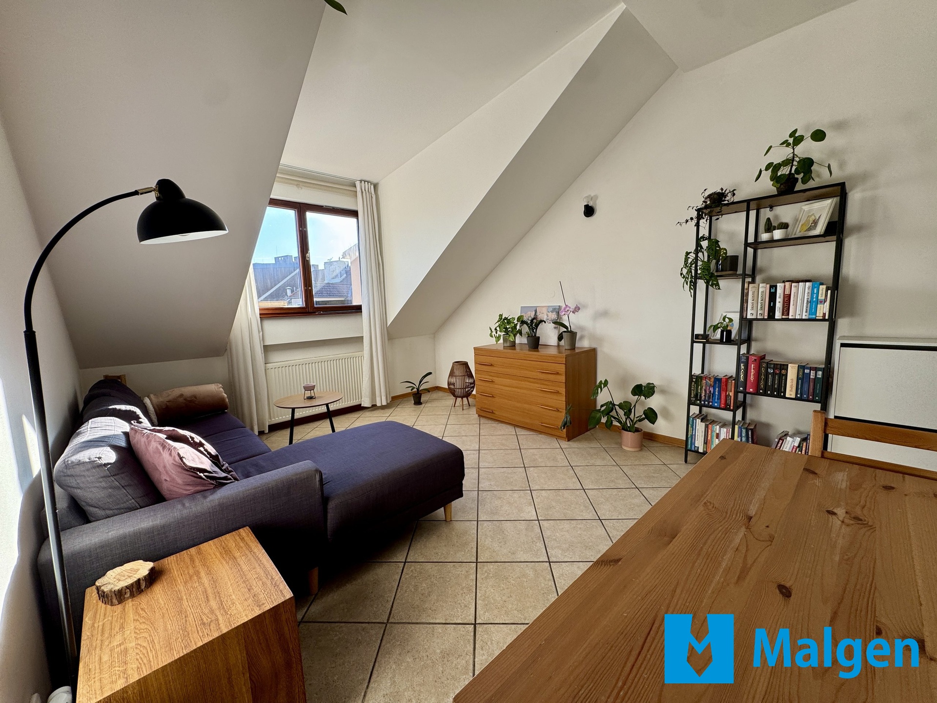 Fotku se nepodařilo načíst.