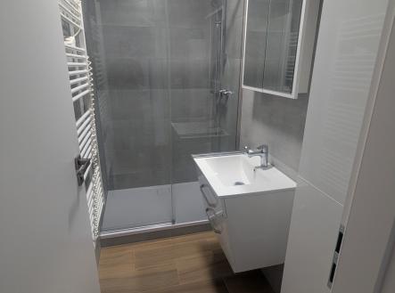 Pronájem bytu, 2+1, 58 m²