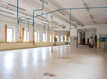 Pronájem - jiné, 5 199 m²