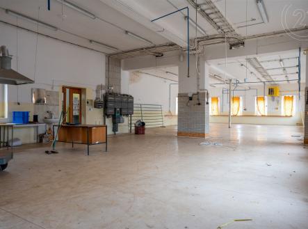 Pronájem - jiné, 5 199 m²