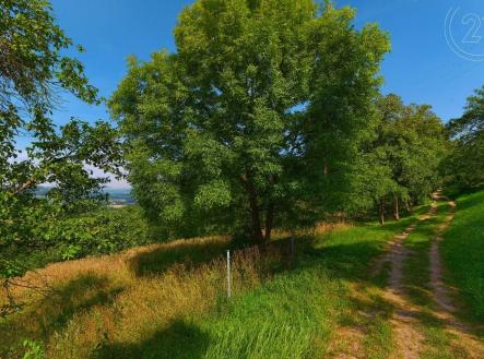 Prodej pozemku, zahrada, 4 971 m²