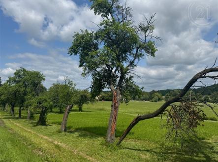 Prodej pozemku pro bydlení, 948 m²
