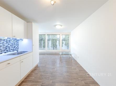 Pronájem bytu, 1+kk, 31 m²